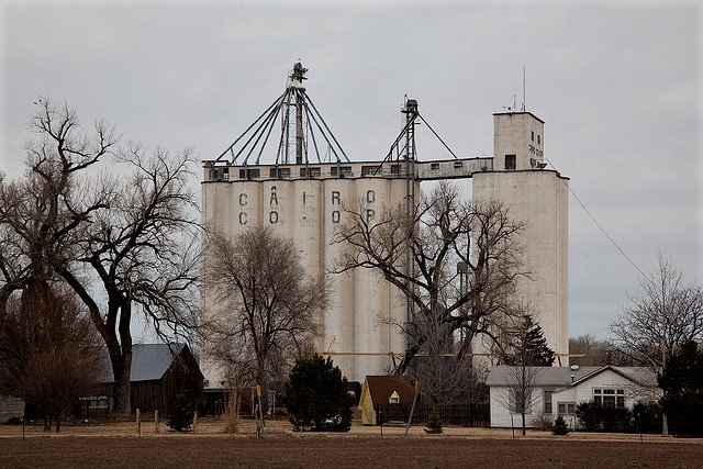 Why “Kinsley to Cairo”?